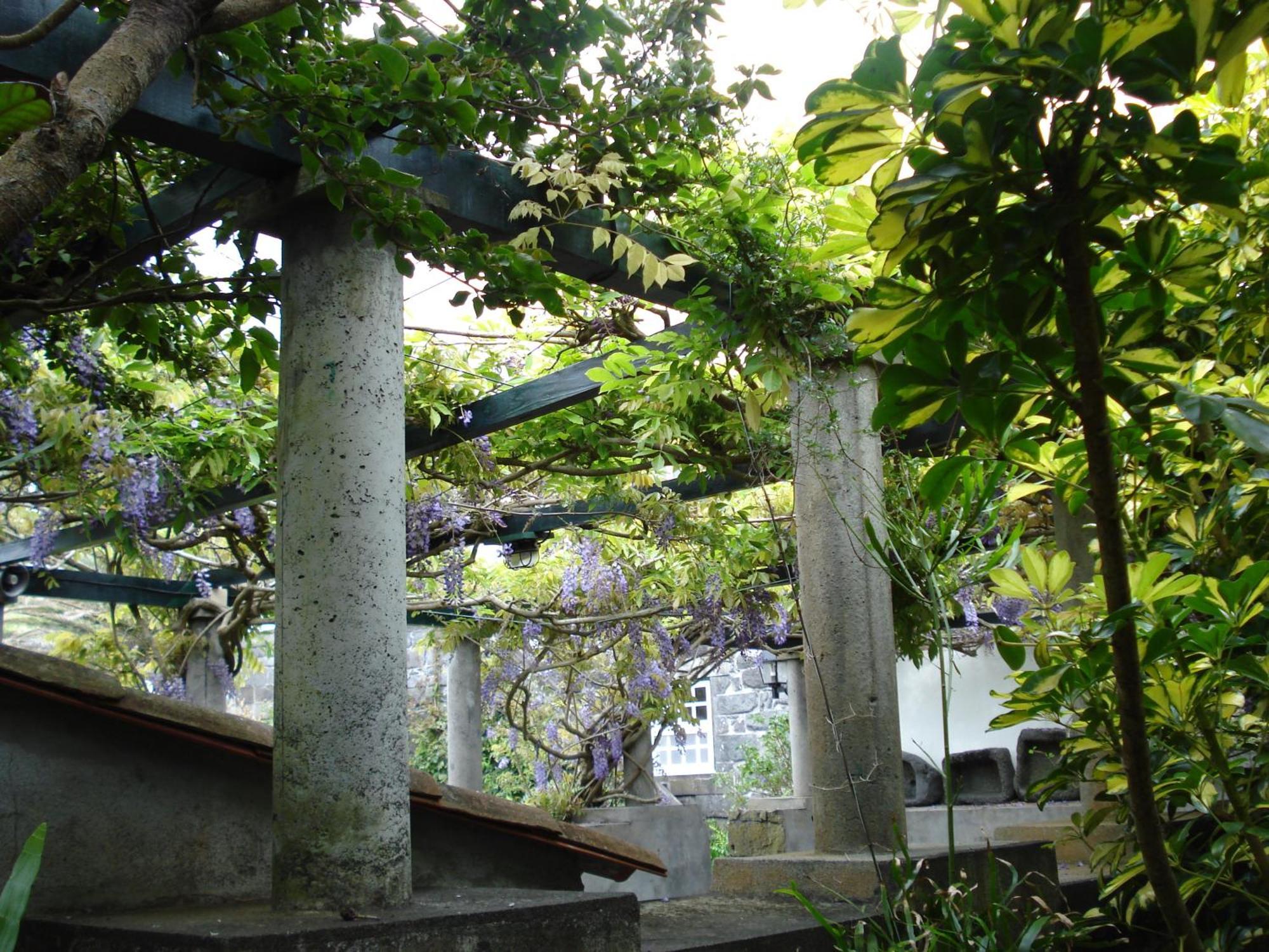 Quinta Das Buganvilias Castelo Branco  Extérieur photo